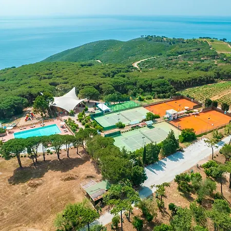 Fattoria Delle Ripalte