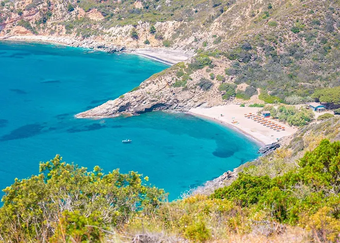 Fattoria Delle Ripalte Hotel