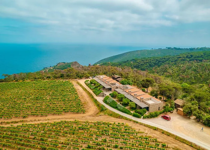 Fattoria Delle Ripalte 3*