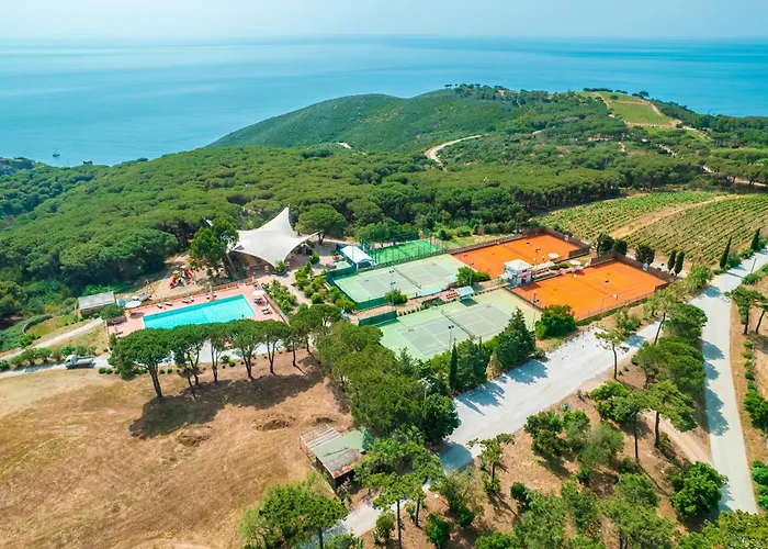 Fattoria Delle Ripalte